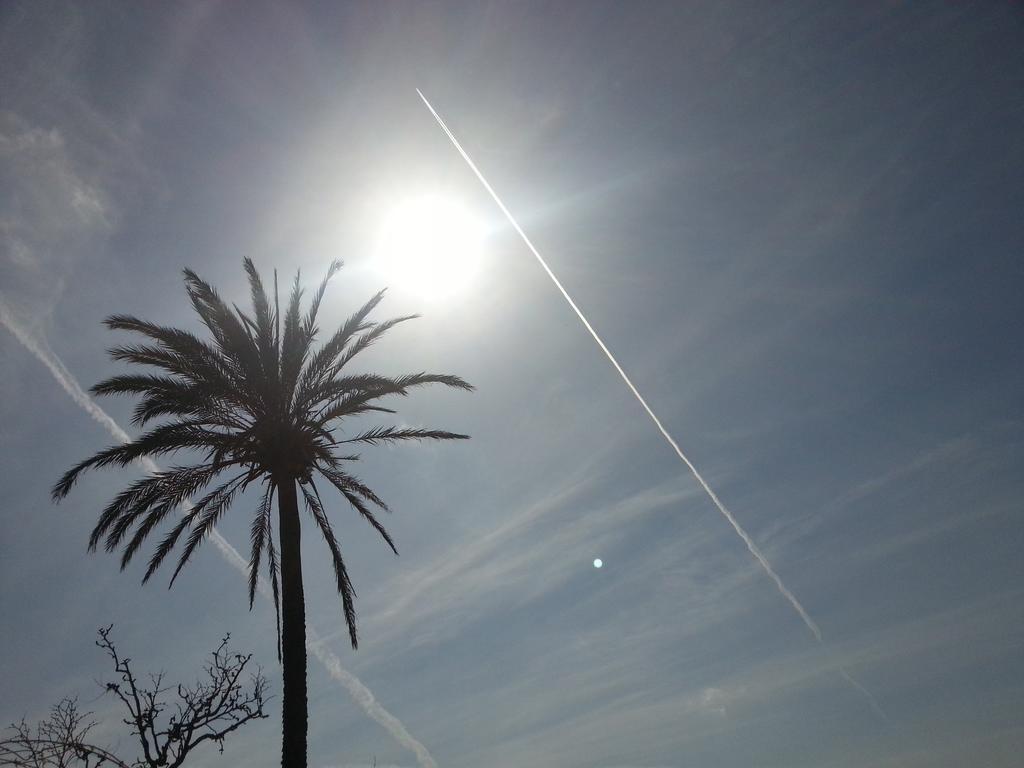 Country house Agroturismo Finca Son Sala *
