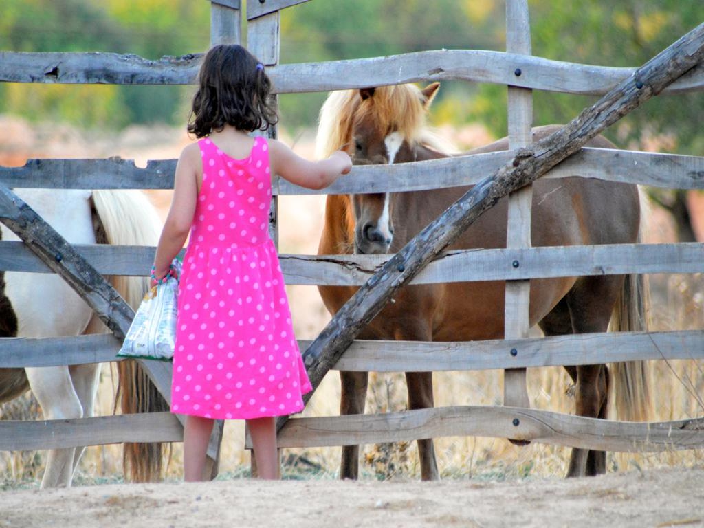 Agroturismo Finca Son Sala * Campos (Mallorca)