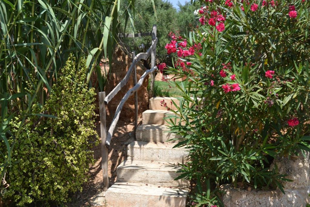 Agroturismo Finca Son Sala Campos (Mallorca)